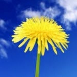 Meet your Posher, Beverly